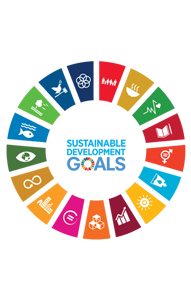 SSC-SDGs
